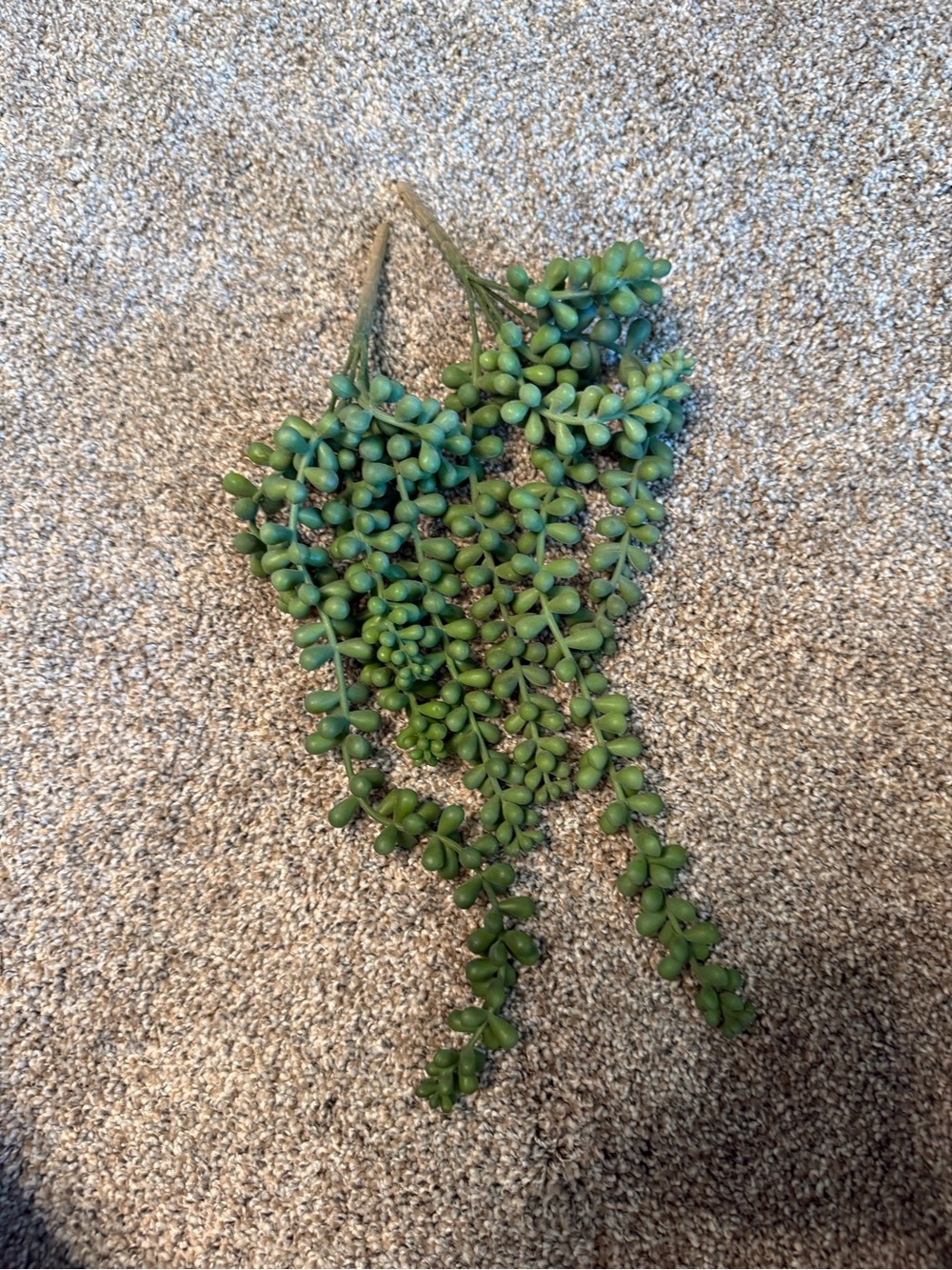 Artificial Green Hanging Succulent string of pearls Stem - total of 2